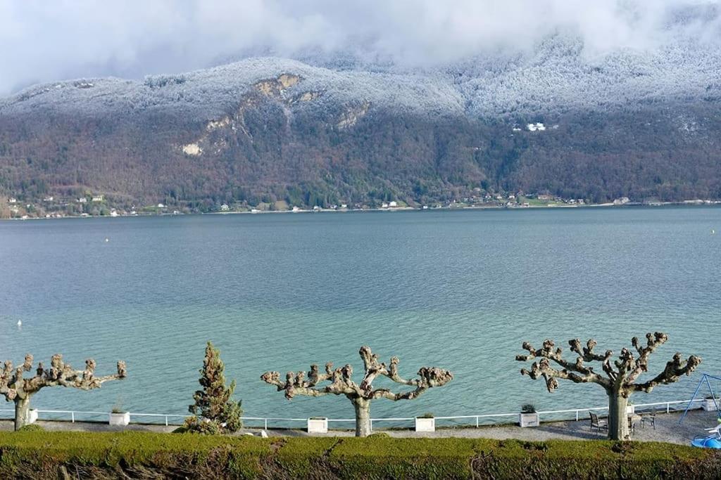 Coconlagon Serenite Au Lac D'Annecy دوسارد المظهر الخارجي الصورة