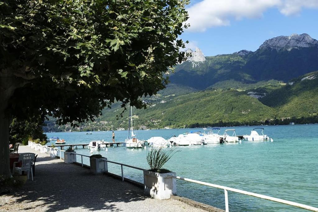 Coconlagon Serenite Au Lac D'Annecy دوسارد المظهر الخارجي الصورة